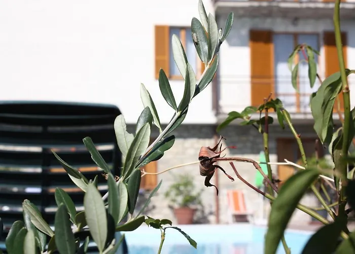 מלון Belvedere פסיניאנו סול טרסימנו